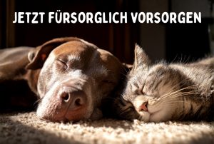 Seniorenpaket für Hund und Katze, Kleintierpraxis DOCPOX